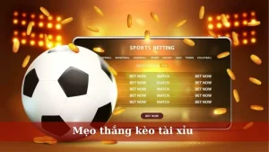 Mẹo thắng kèo tài xỉu